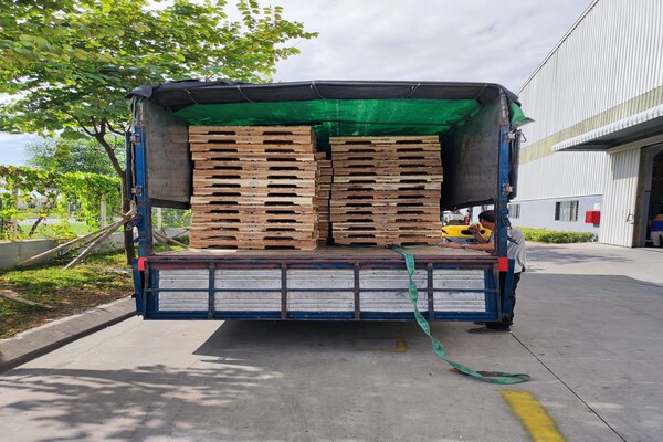 Pallet gỗ và Pallet nhựa: Đánh giá ưu điểm và nhược điểm